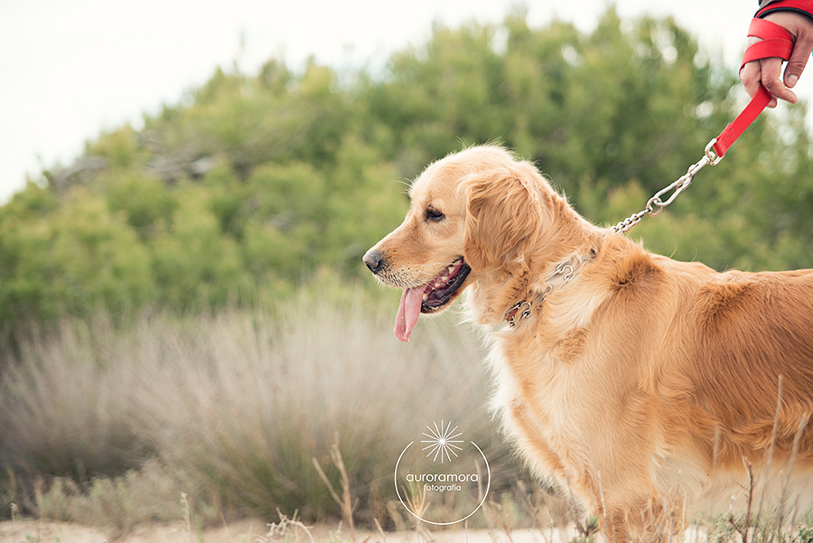fotografo-murcia-fotografo-de-familia-murcia-fotografo-de-familia-cartagena-fotografo-infantil-murcia-fotografo-infantil-cartagena-fotografia-infantil-fotografo-de-bodas-murcia-aurora-mora-fotografia