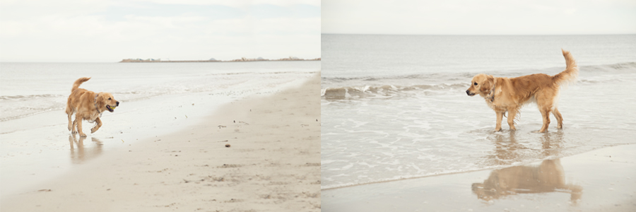 fotografo murcia, fotografo de familia murcia, fotografo de familia cartagena, fotografo infantil murcia, fotografo infantil cartagena, fotografia infantil, fotografo de bodas murcia, aurora mora fotografia18